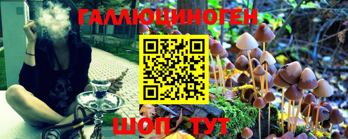 Галлюциногенные грибы GOLDEN TEACHER Подольск