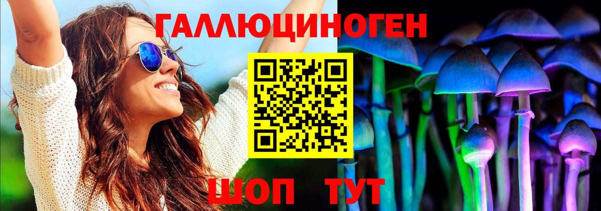 Псилоцибиновые грибы Psilocybine cubensis  Вход с VPN  Псилоцибиновые грибы GOLDEN TEACHER  Подольск 